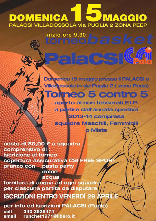 basketpalacsi 15052016